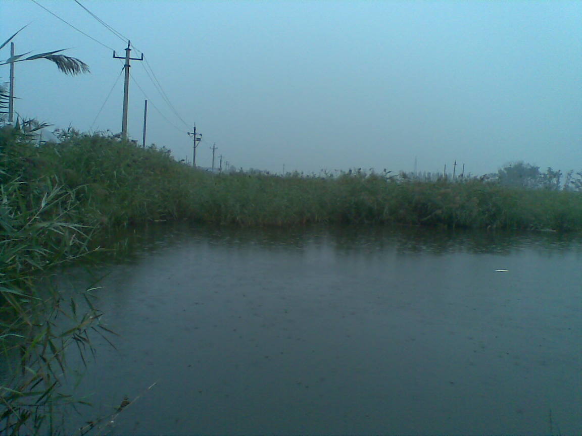 20110912.jpg