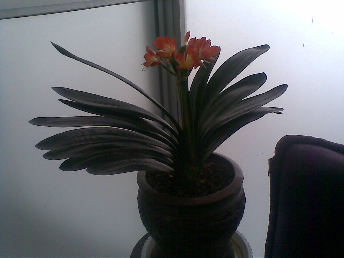 20120331.jpg