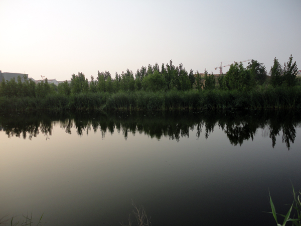 夜未至已至.jpg