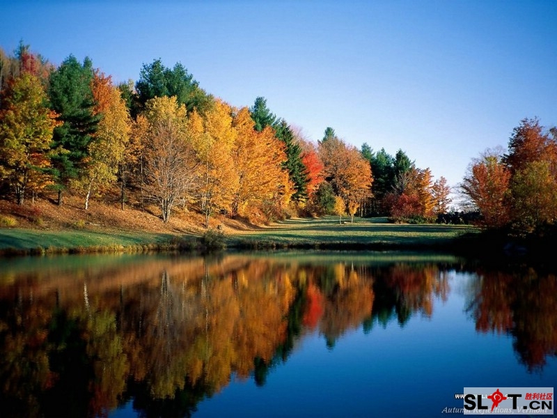 nature_fall_colors_20226_m.jpg