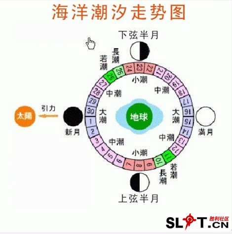海洋潮汐走势图