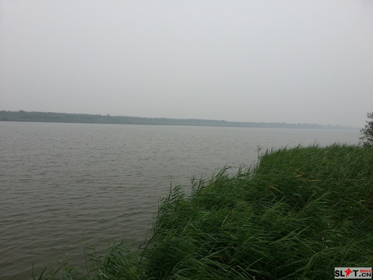 20130719_062839.jpg