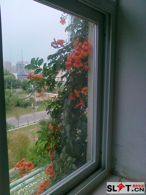 20130811897.jpg