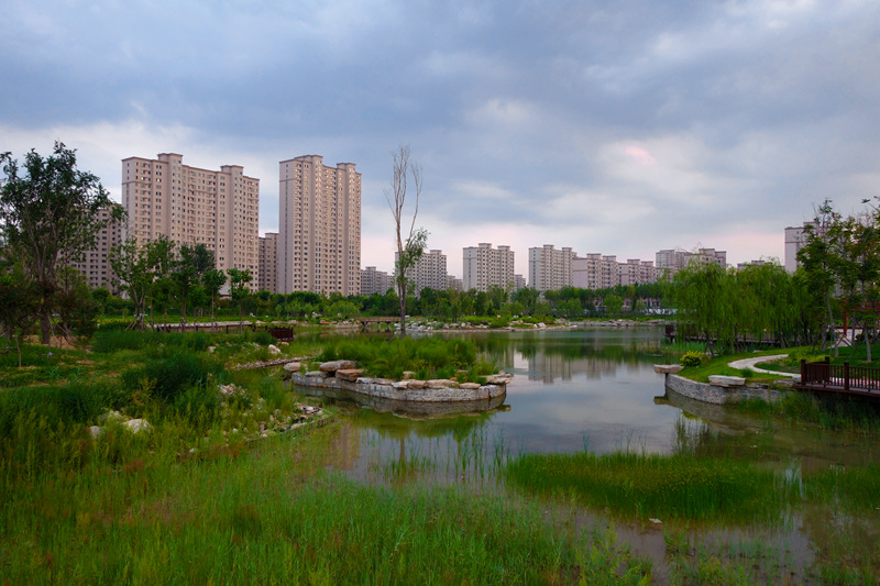 东营_今天又是好日子,又有邻居入住花苑_社区