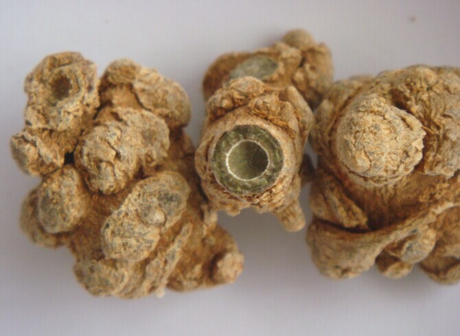 随便找了个40头的三七使劲掰断,呈菊花状切面,中间淡绿色,这是好三七