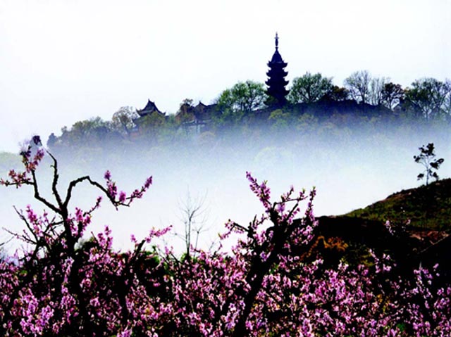 【卧铺大巴】轻松出行,不用请假,玩转苏州香雪海,南京梅花山