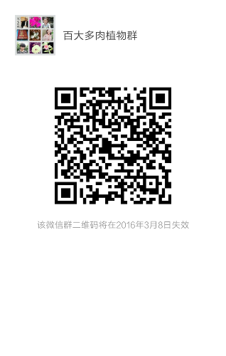 mmqrcode1456826554793.png