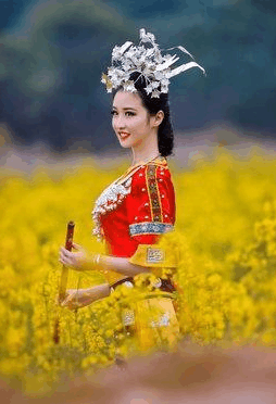 黄花姑娘的黄花是指什么花? 古代只有这种女子才能叫黄花姑娘