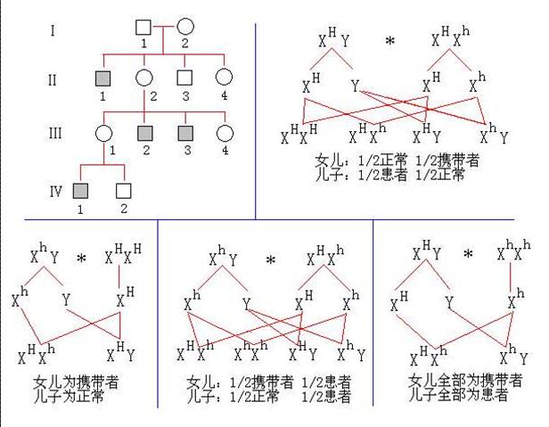 图片15.jpg