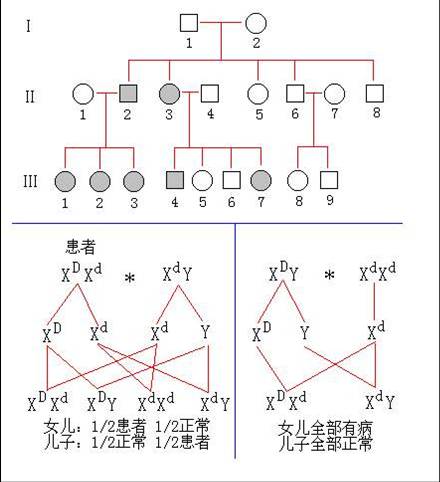 图片17.jpg