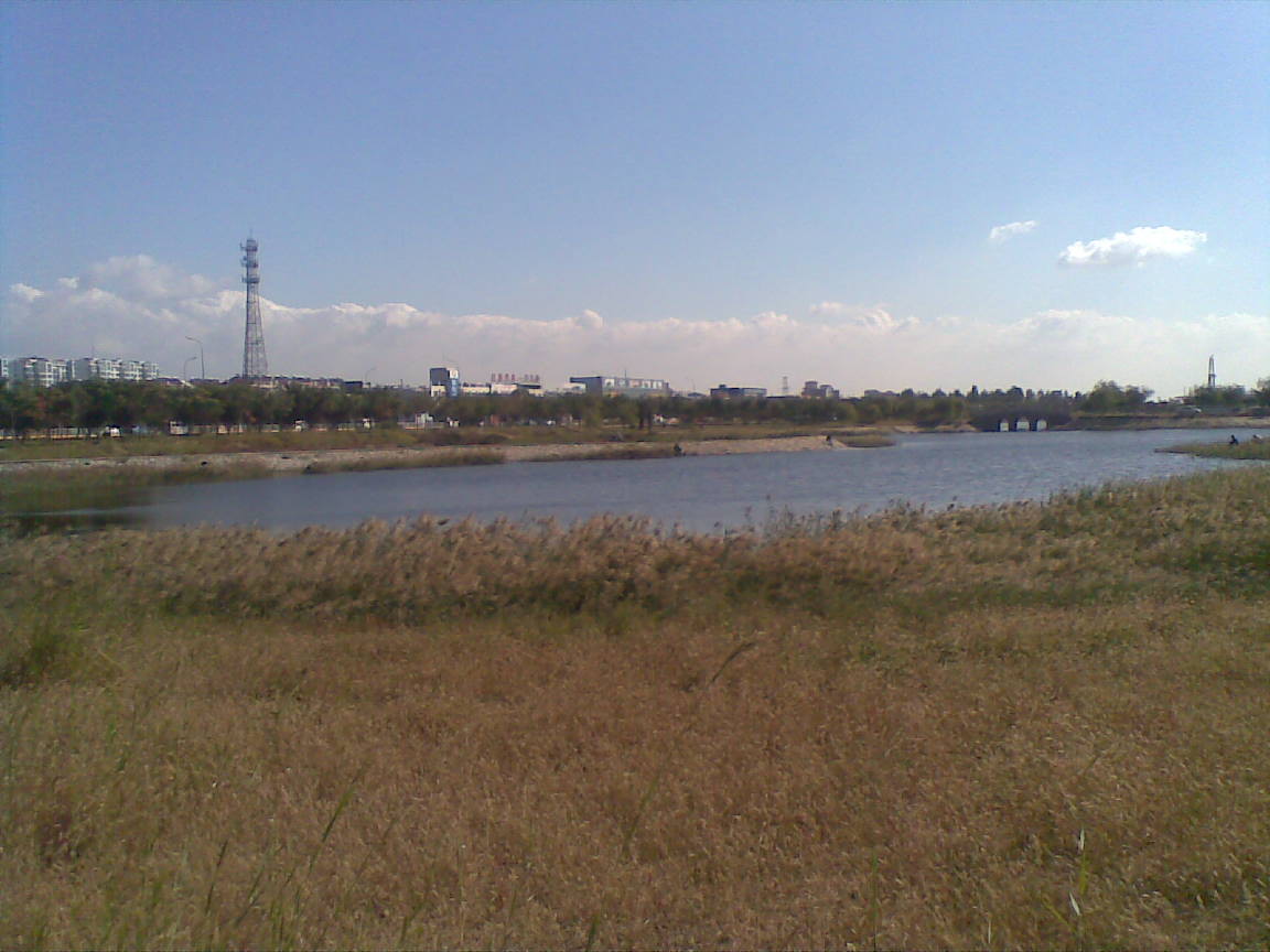 20101003(005).jpg