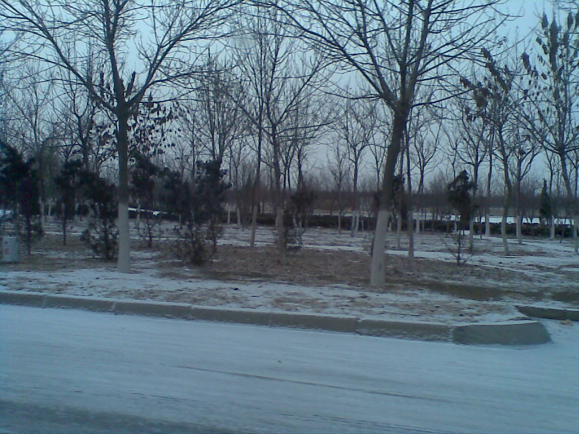 20110213(002).jpg