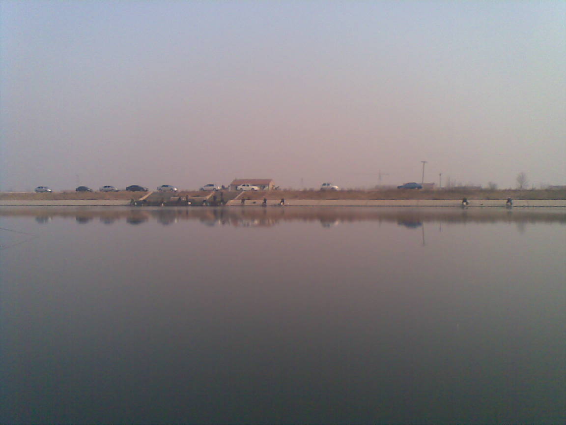 20110219.jpg