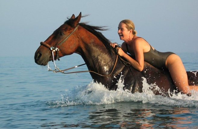 Horses_Swimming_Crete_Greece.jpg
