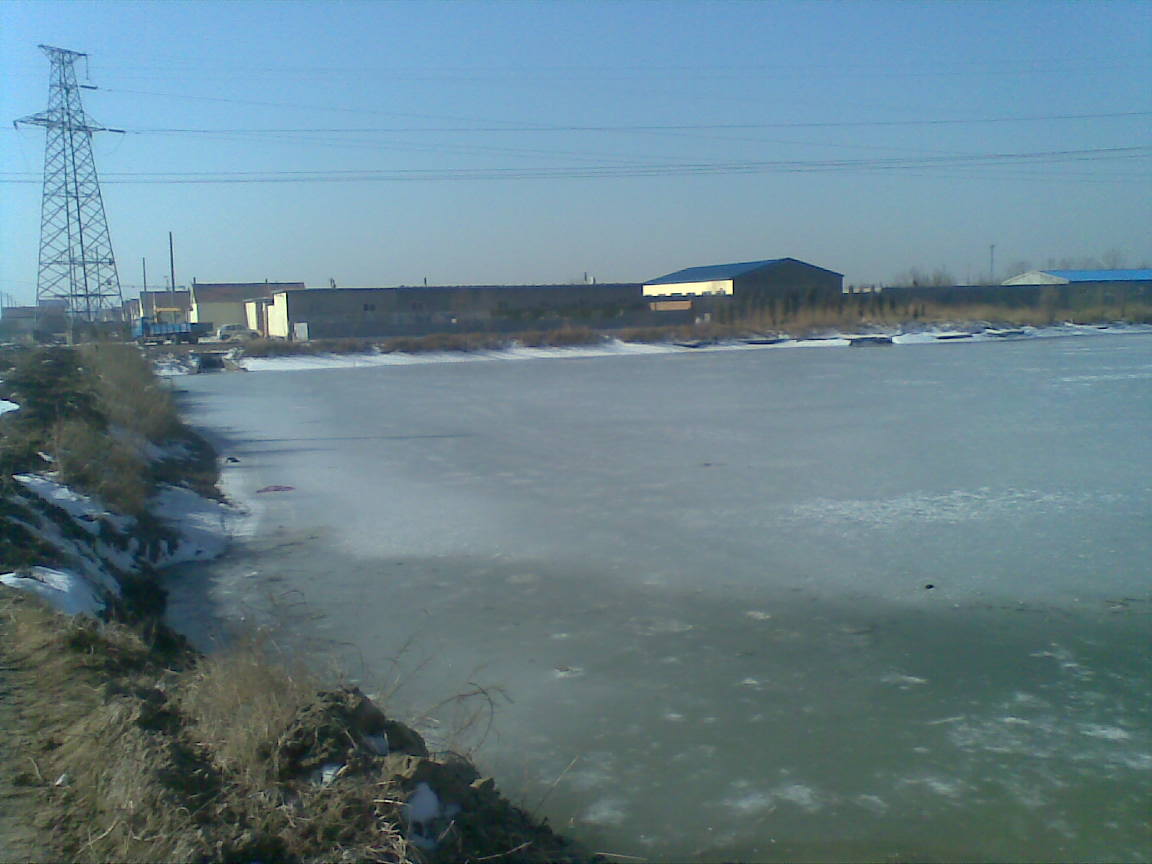 20110305.jpg