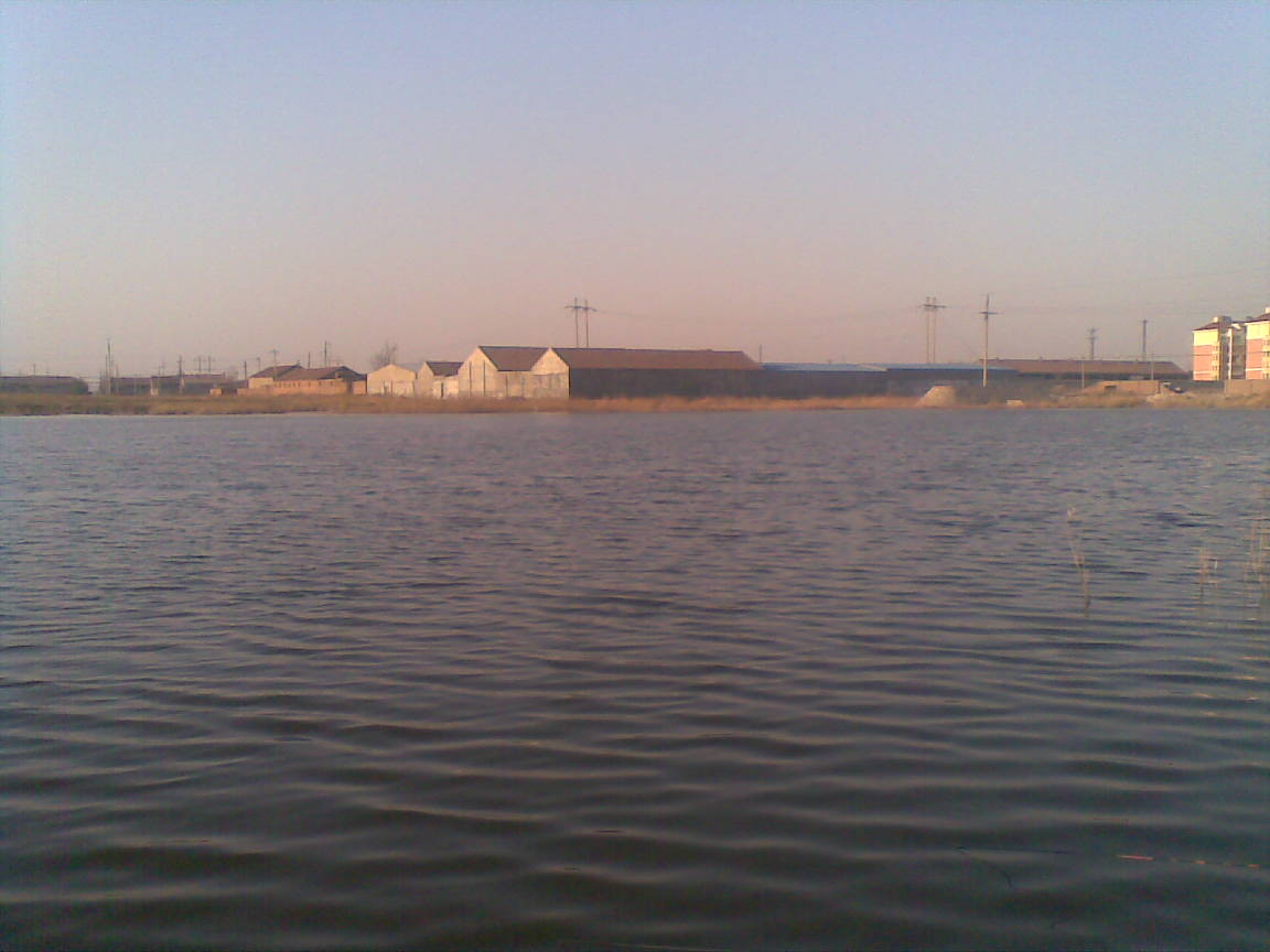 20110327.jpg