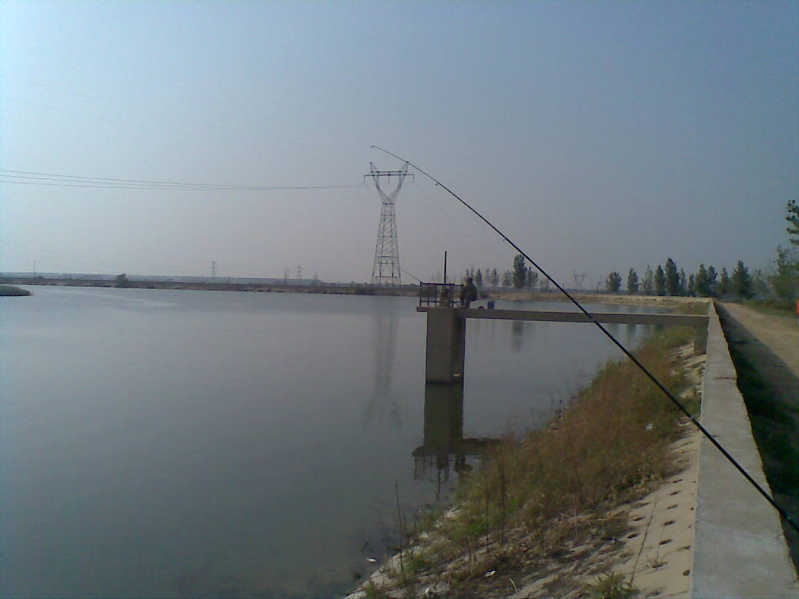 20110619.jpg