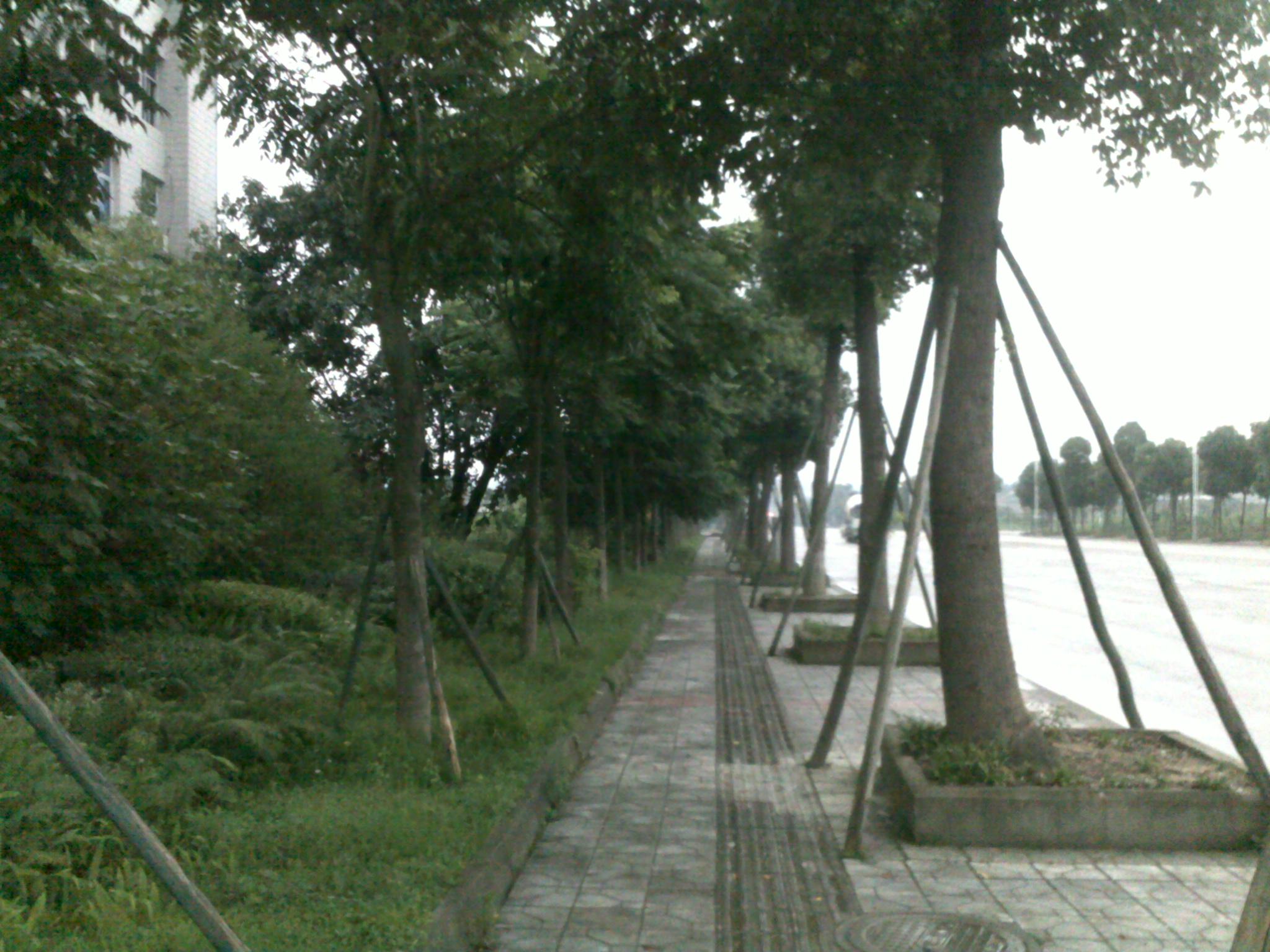 20110711557.jpg