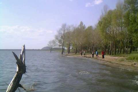 IMG0341A.jpg