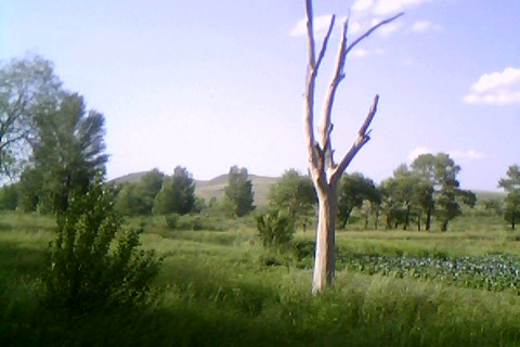 IMG0344A.jpg