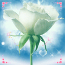 128_128gif 动态图 动图