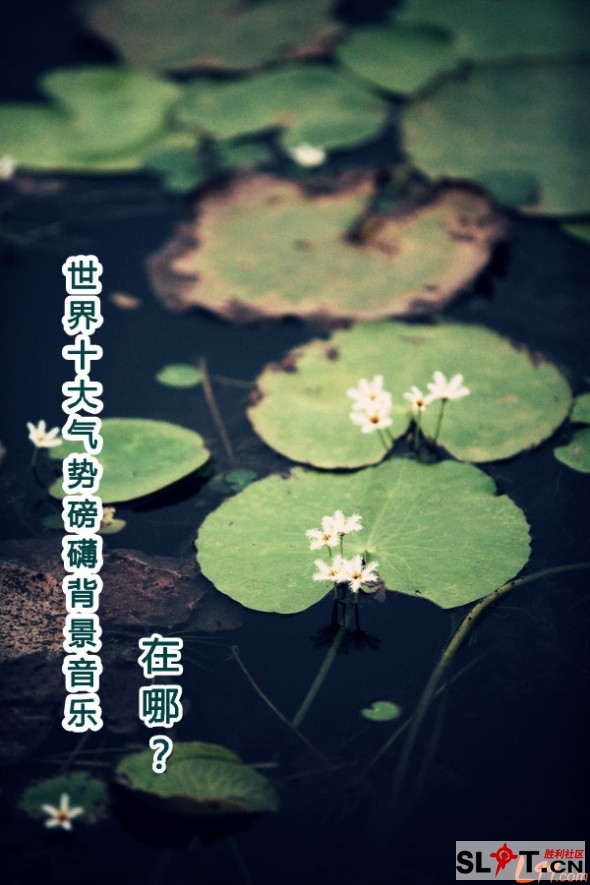 帮德意扬扬整理世界十大气势磅礴背景音乐