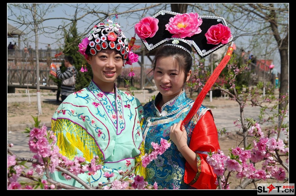 西宋桃花节粉面桃花唯美景