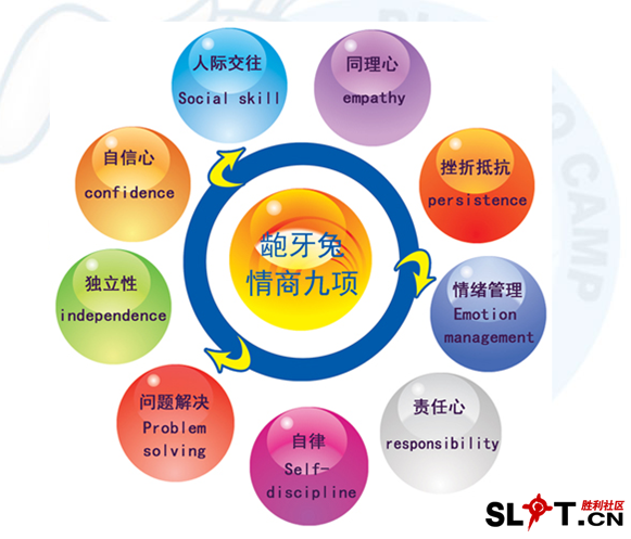 龅牙兔情商九项