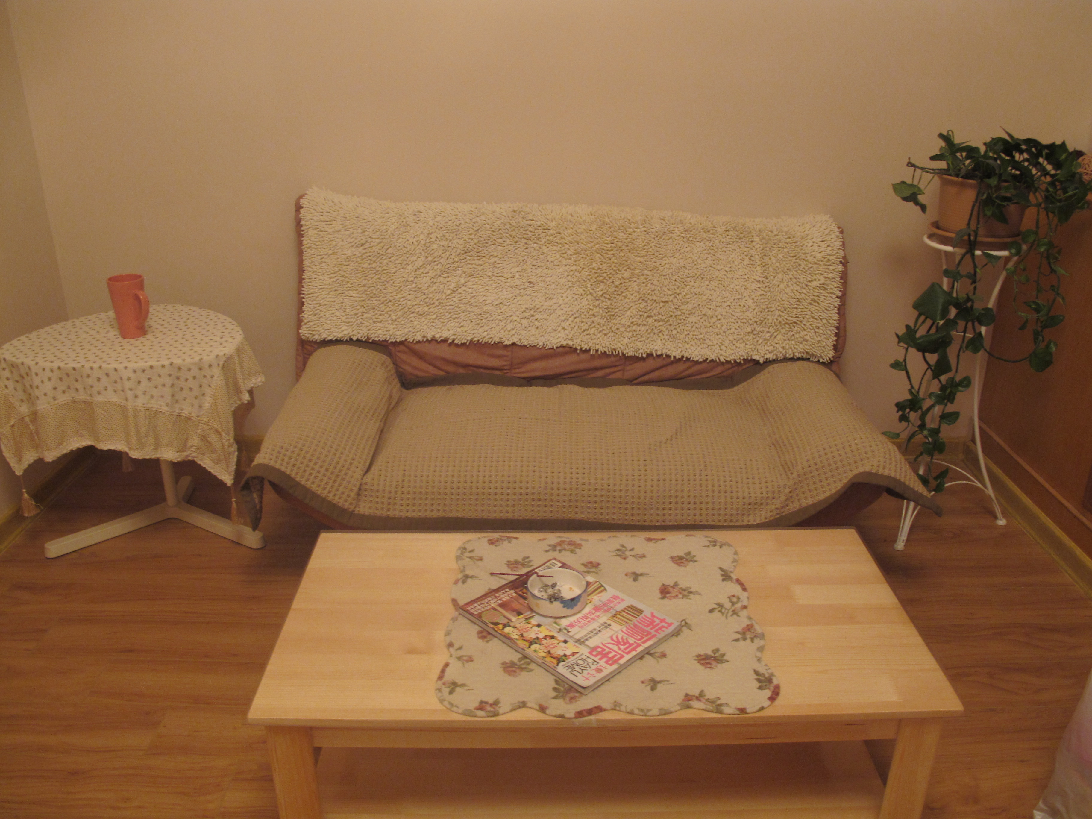 客厅沙发还是以前的,茶几网上买的松木的,忘了具体价格好像不到三百