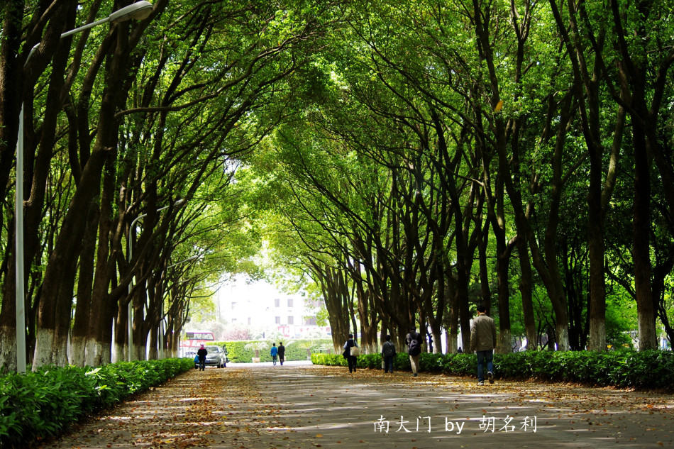 校园风景图片简单,大学校园风景图片,校园风景图片_大山谷图库