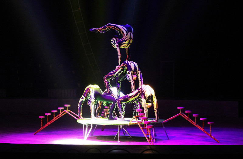 蒙古柔术-银蛇狂舞 (2).jpg