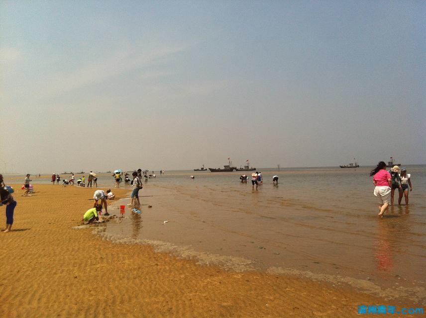 【青草地】7月5日(週日)萊州虎頭崖趕海,黃金海岸戲水