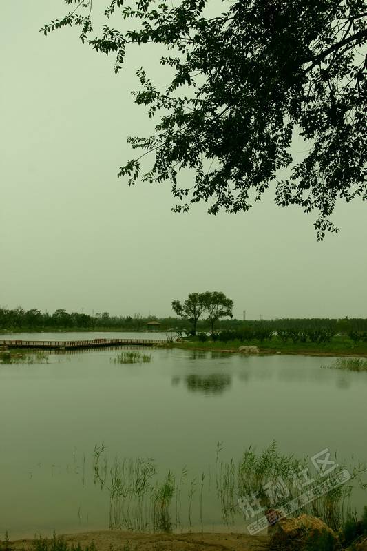 初具规模的广利河湿地公园,到处波光粼粼