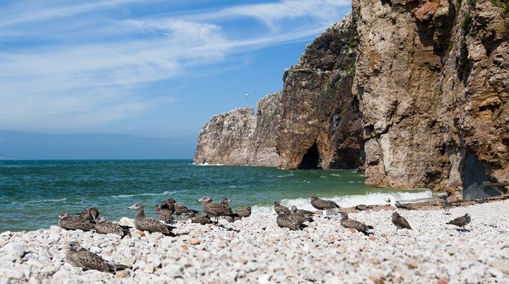 特惠399元威海海驢島海鷗王國雞鳴島爸爸去哪兒那香海兩日遊滿員封貼