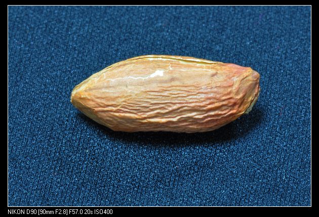 微距练习美丽水珠一粒花生米