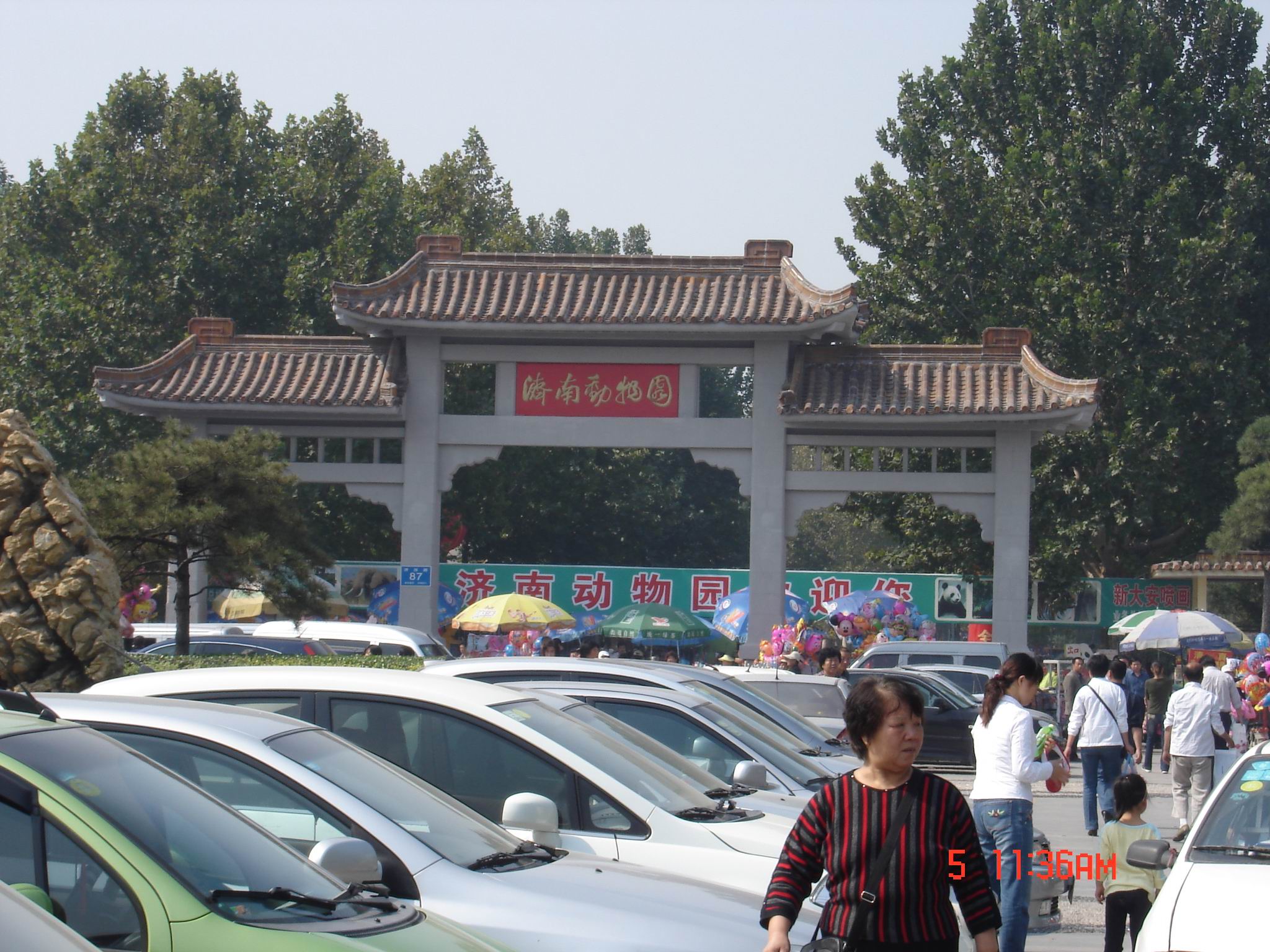 光头书生考察记济南窗帘城