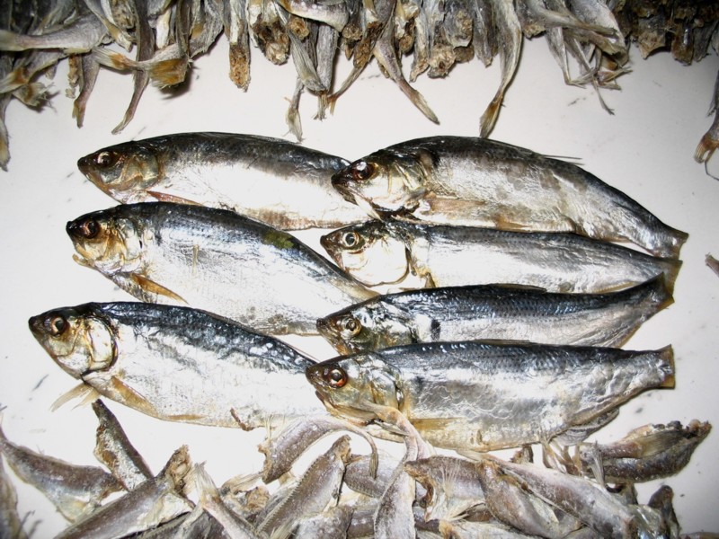 刚从百大超市买了一点海鲫鱼 以前从来没吃过 "会吃"的朋友教教怎么做